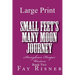 Small Feet's Many Moon Journey: Stringbean Hooper Western