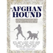 The Afghan Hound: Conversations with the Breed's Pioneers