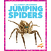 Jumping Spiders