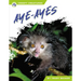 Aye-Ayes