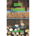 Quail Farming: A very easy step-by-step guide on how to start quail farming even as a beginner