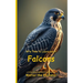 It's Time to Learn about Falcons