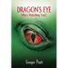 Dragon's Eye: Who's Watching You?