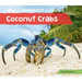 Coconut Crabs