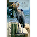 To Be Announced: A Book of Poetic Musings