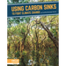 Using Carbon Sinks to Fight Climate Change