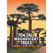 Ten Tall Magnificent Trees