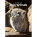 Our Nevada: Baby Animals