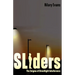 Sliders: The Enigma of Streetlight Interference