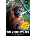 Orangutans: People of the Forest