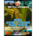 Sea Creatures for Kids: A Children's Picture Book about Sea Creatures: A Great Simple Picture Book for Kids to Learn about Different Sea Creatures
