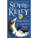 A Night's Tail