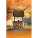 Drinking from God's Well: Exploring the Journey from Trauma to Renewal and Recovery