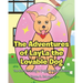 The Adventures of LayLa the Lovable Dog: The Story of Going to Doggie Training Classes!