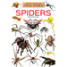 Spiders
