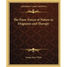 The Finer Forces of Nature in Diagnosis and Therapy