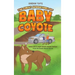The Great Adventures of Baby Coyote: Rondo Meets Baby Coyote Human Contact