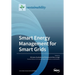 Smart Energy Management for Smart Grids