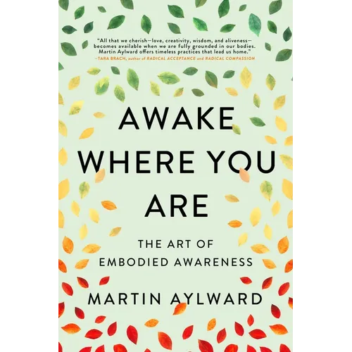 Awake Where You Are: The Art of Embodied Awareness