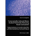 Transcranially-Induced Motor Evoked Potentials Following Acute Concussion