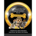 The Search for the Magical Golden Bone: A tale of 3 dogs, lifelong friends, and their journey to seek out the long-lost mysteries it contains