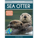 Sea Otter: Amazing Facts About Ocean's Cleverest Mammals for Kids