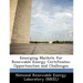 Emerging Markets for Renewable Energy Certificates: Opportunities and Challenges