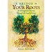 A Bridge to Your Roots: An Evangelical Journey Through the Land of Israel