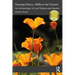 Nursing Ethics, 1880s to the Present: An Archaeology of Lost Wisdom and Identity