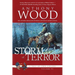 Storm of Terror: A Story of the Civil War