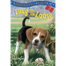 Absolutely Lucy #2: Lucy on the Loose