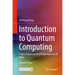Introduction to Quantum Computing: From a Layperson to a Programmer in 30 Steps