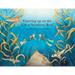 Growing up on the Great Southern Reef