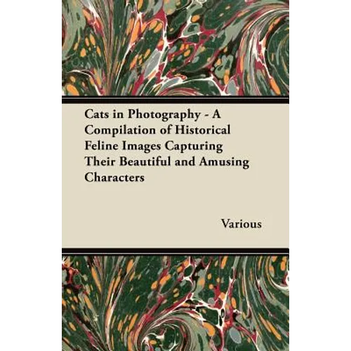 Cats in Photography - A Compilation of Historical Feline Images Capturing Their Beautiful and Amusing Characters