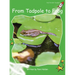 From Tadpole to Frog Big Book Edition