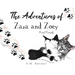 The Adventures of Zaza and Zoey: Feral Friends