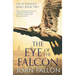 The Eye of the Falcon