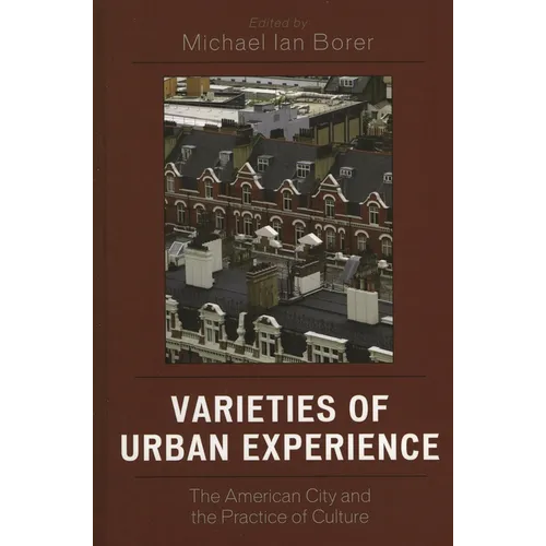 Varieties of Urban Experience: The American City and the Practice of Culture