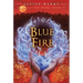 The Healing Wars: Book II: Blue Fire