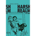 Harsh Realm: My 1990s