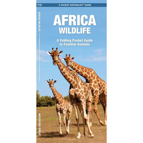 Africa Wildlife: A Folding Pocket Guide to Familiar Animals