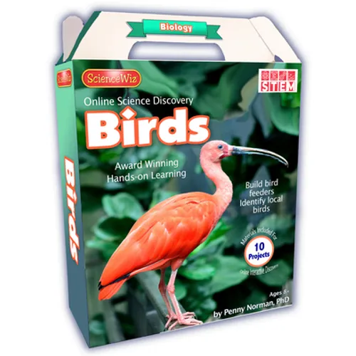 Online Discovery Birds