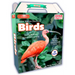 Online Discovery Birds