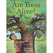 Are Trees Alive?