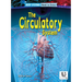 The Circulatory System
