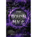 The Bound Mage: A Dark Fae Romantasy Novel