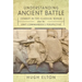 Understanding Ancient Battle: Combat in the Classical World from the Unit Commander's Perspective