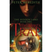 The King's Trap: The Hidden Land Novel 2