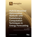 Hybrid Advanced Optimization Methods with Evolutionary Computation Techniques in Energy Forecasting