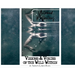 Untamed Reflections